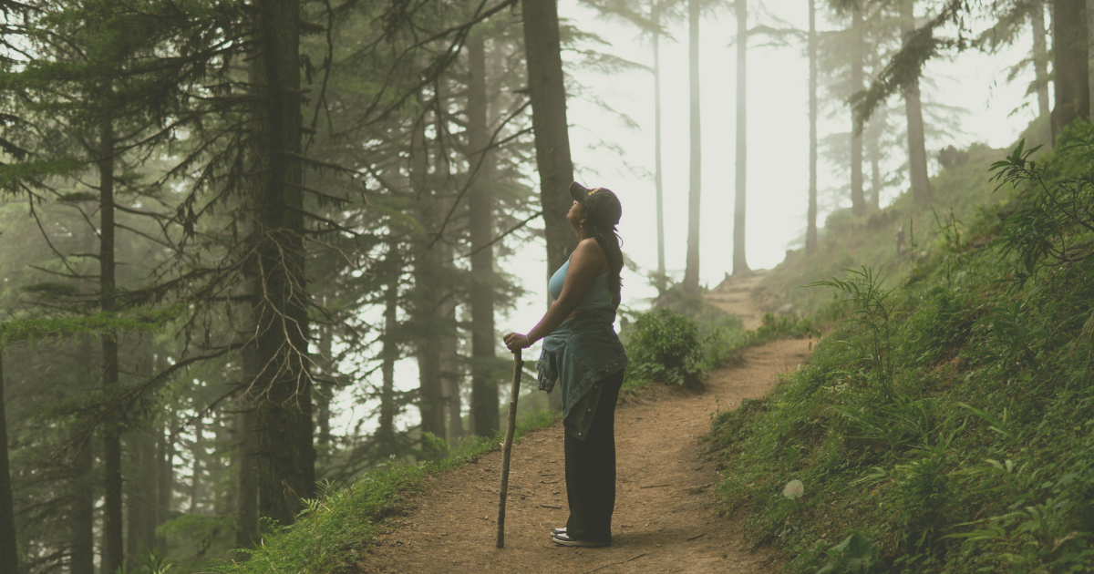 A person hiking on a trail in the woods